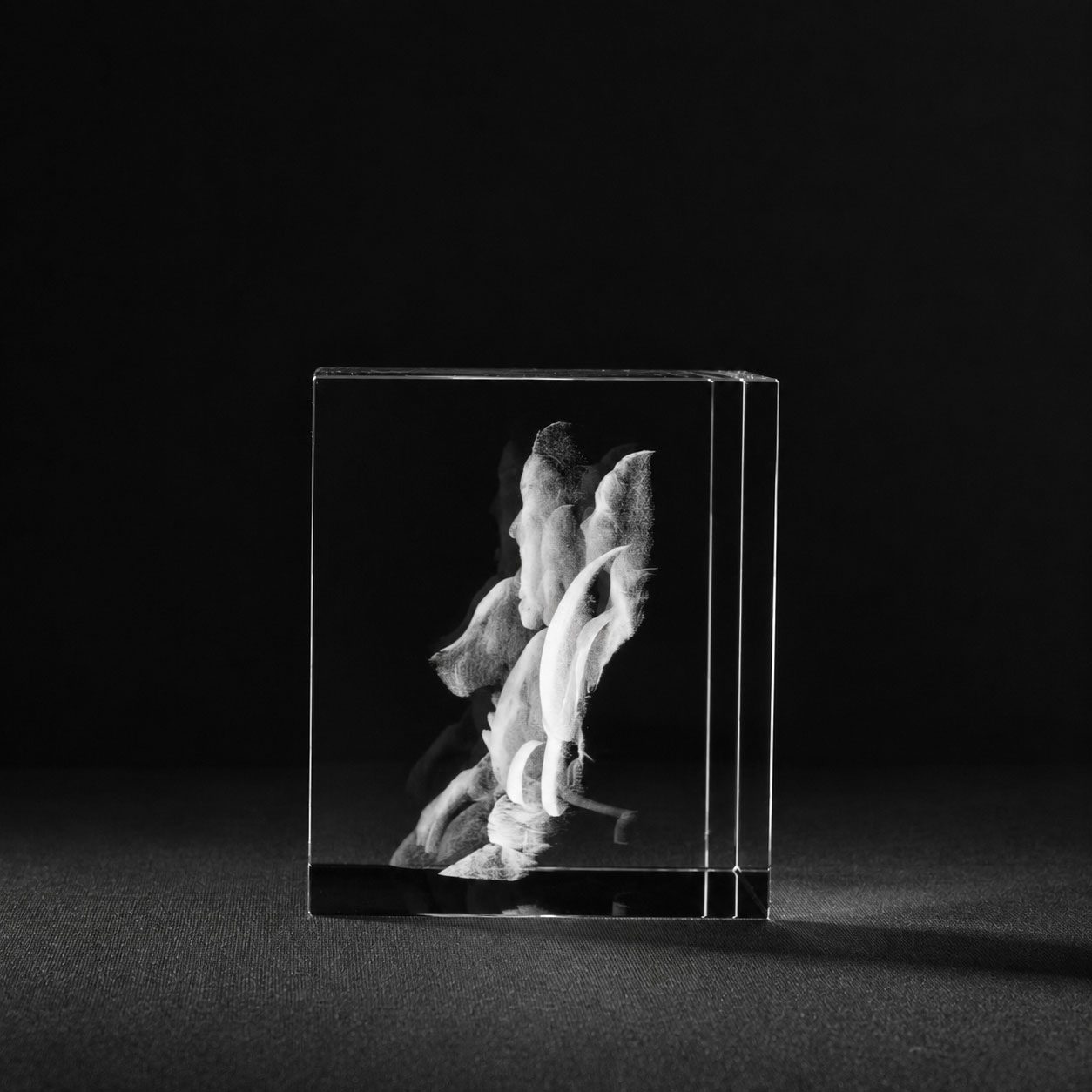 Allincrystal Foto in glas 3D Kristal Blok 3 en meer portretten