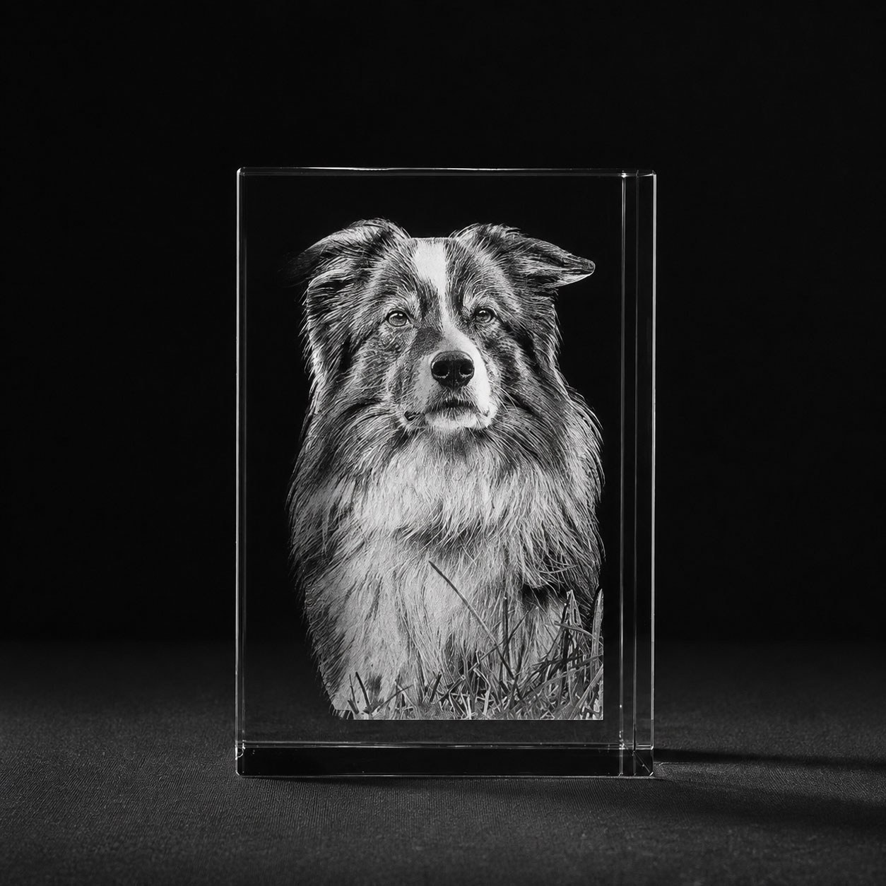Foto in glas 3 D Blok Huisdier