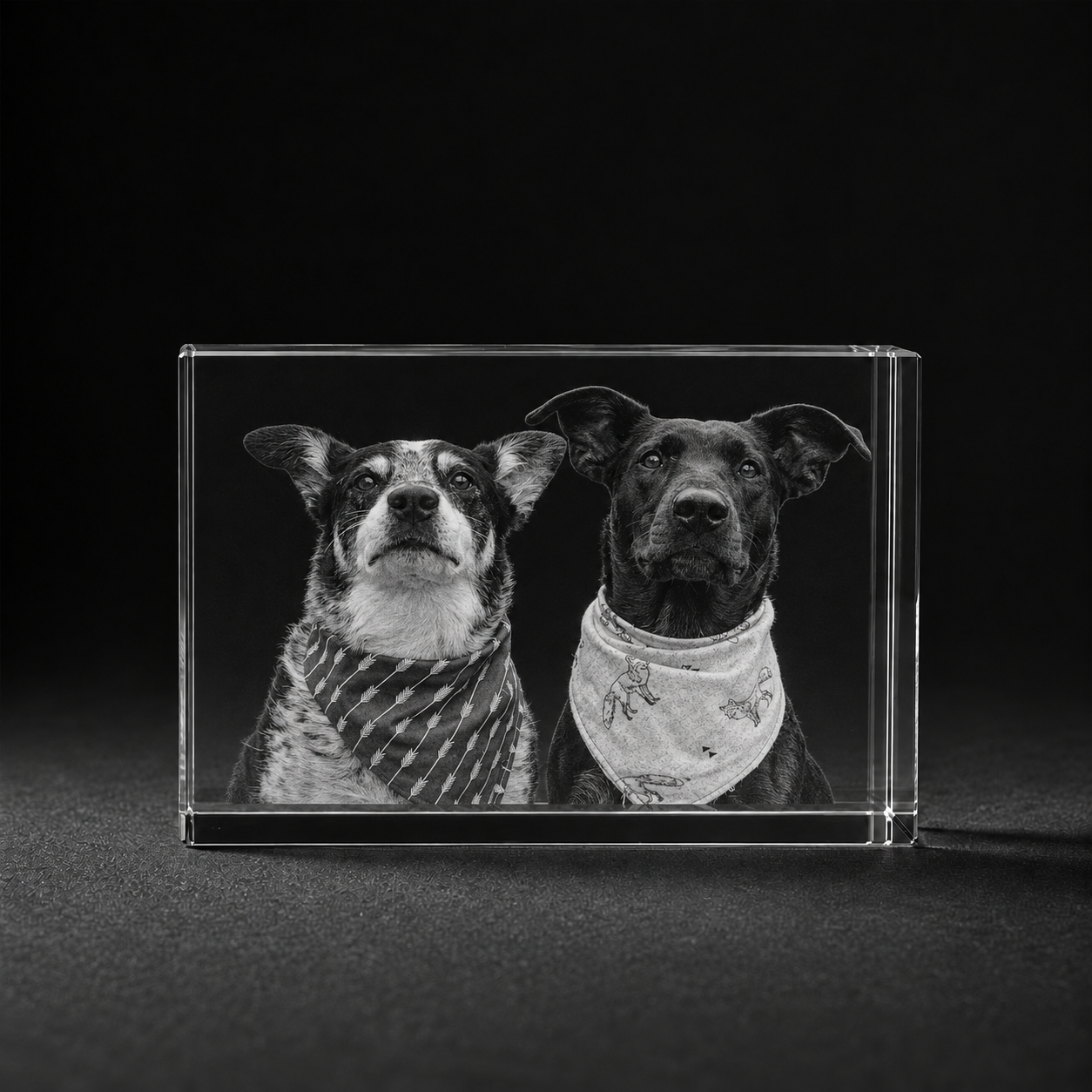 Twee honden in 3D blok