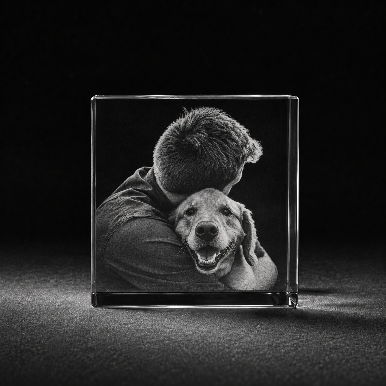 Hond in 3d kubus