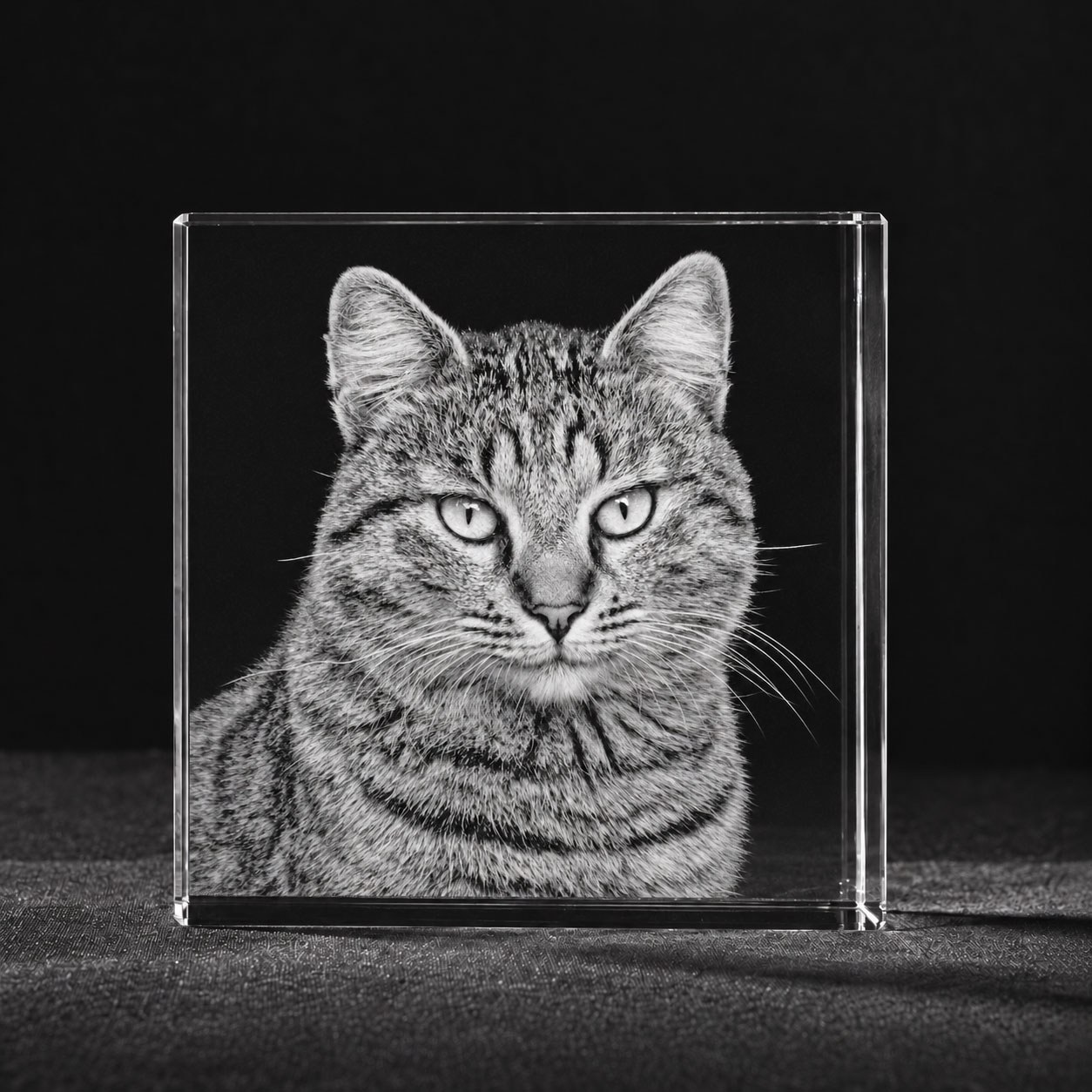 Huisdier Kat Poes Allincrystal Fotoinglas 2 D Square