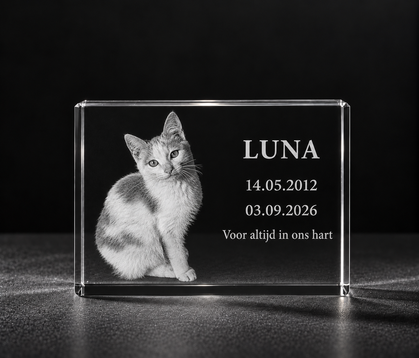 Kat in brick met tekst foto in glas