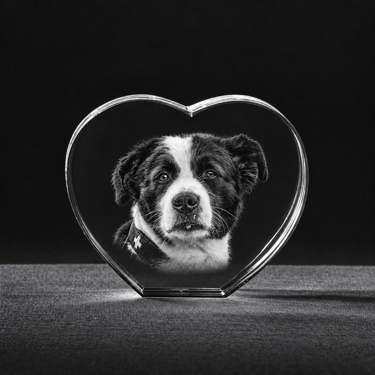 Kirstal hart hond