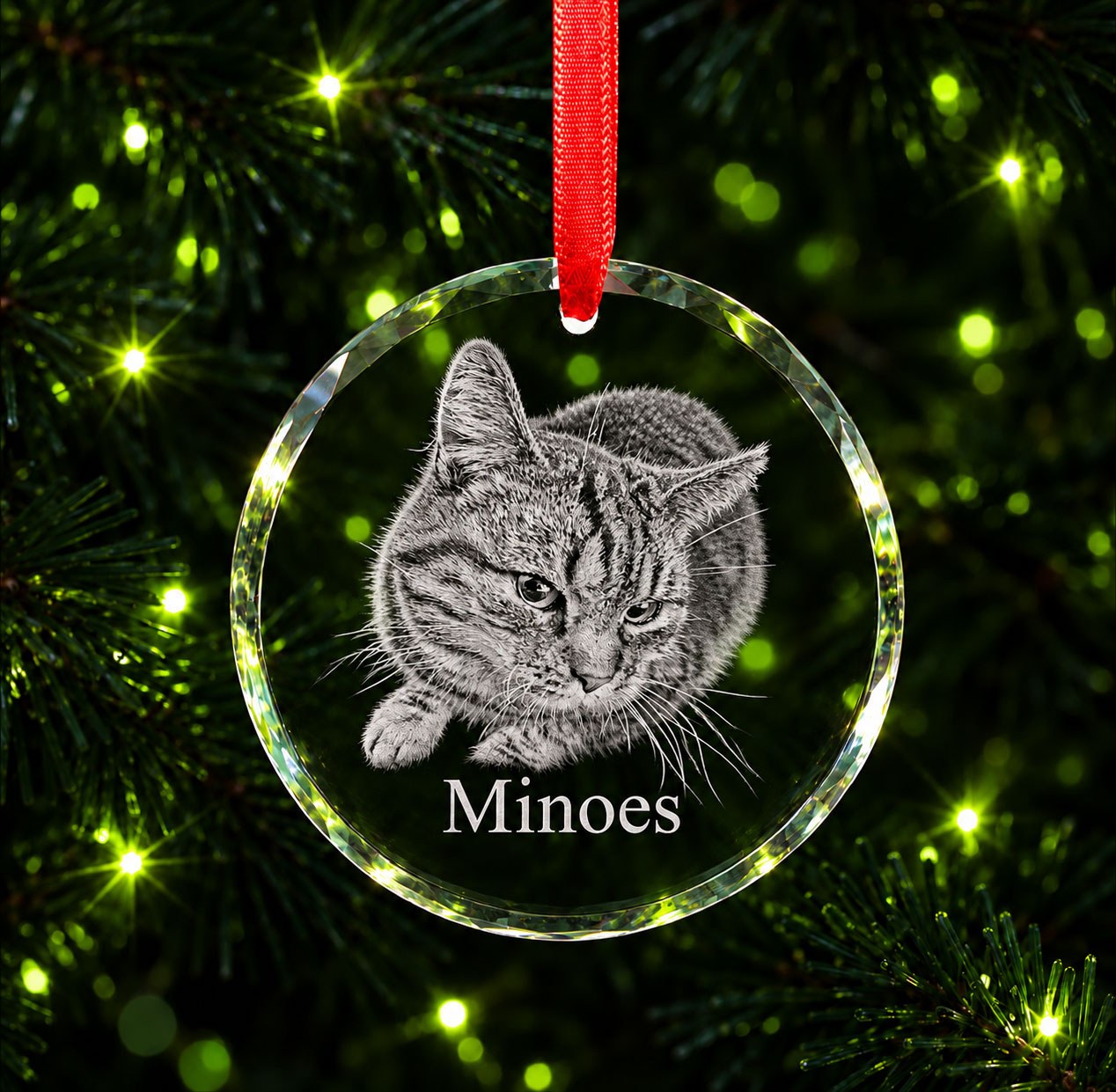 All incrystal Glazen kerstornament kat gravure kersthanger